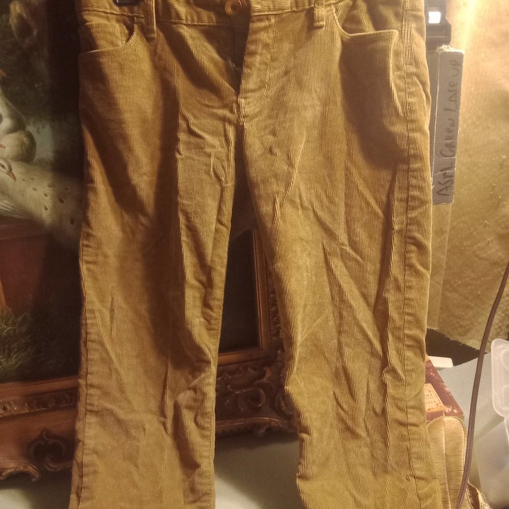 Tan Free People Cords